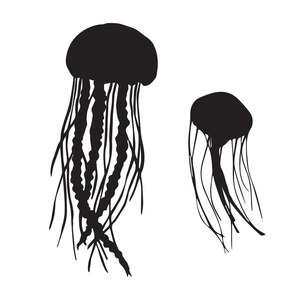 Jellyfish Silhouette art vector