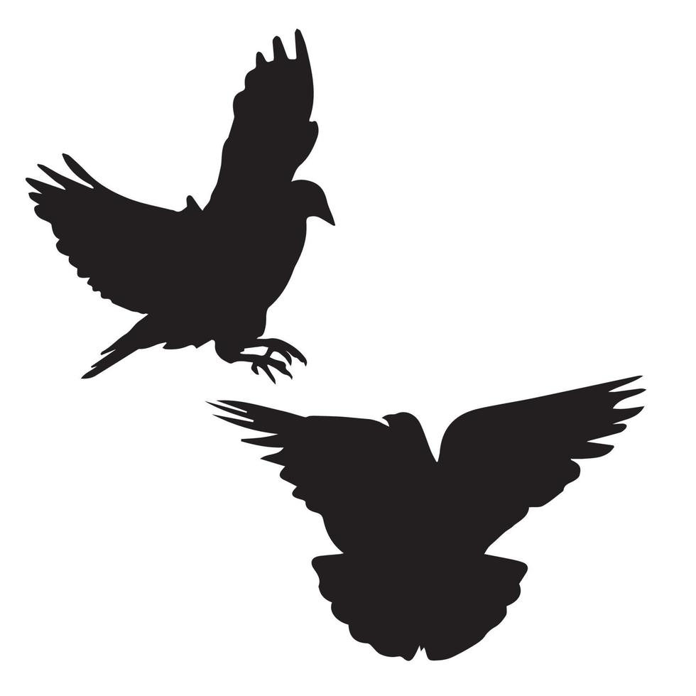 Pigeon Silhouette Art vector