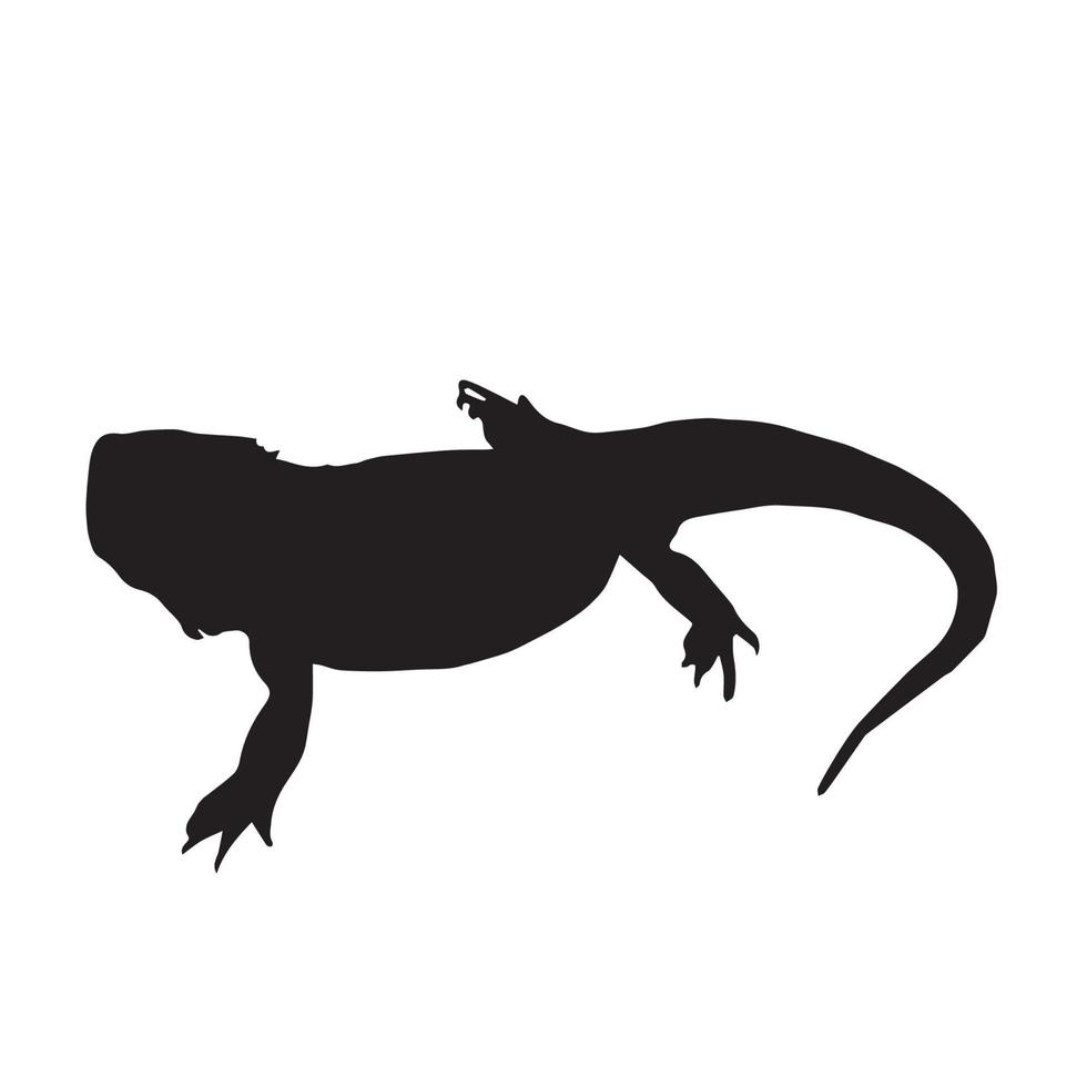 Lizard Silhouette Art vector