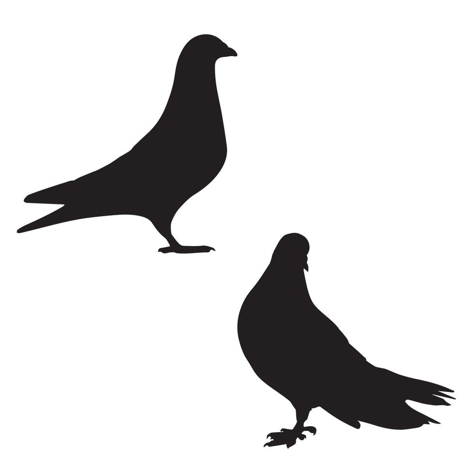 Pigeon Art Silhouette vector