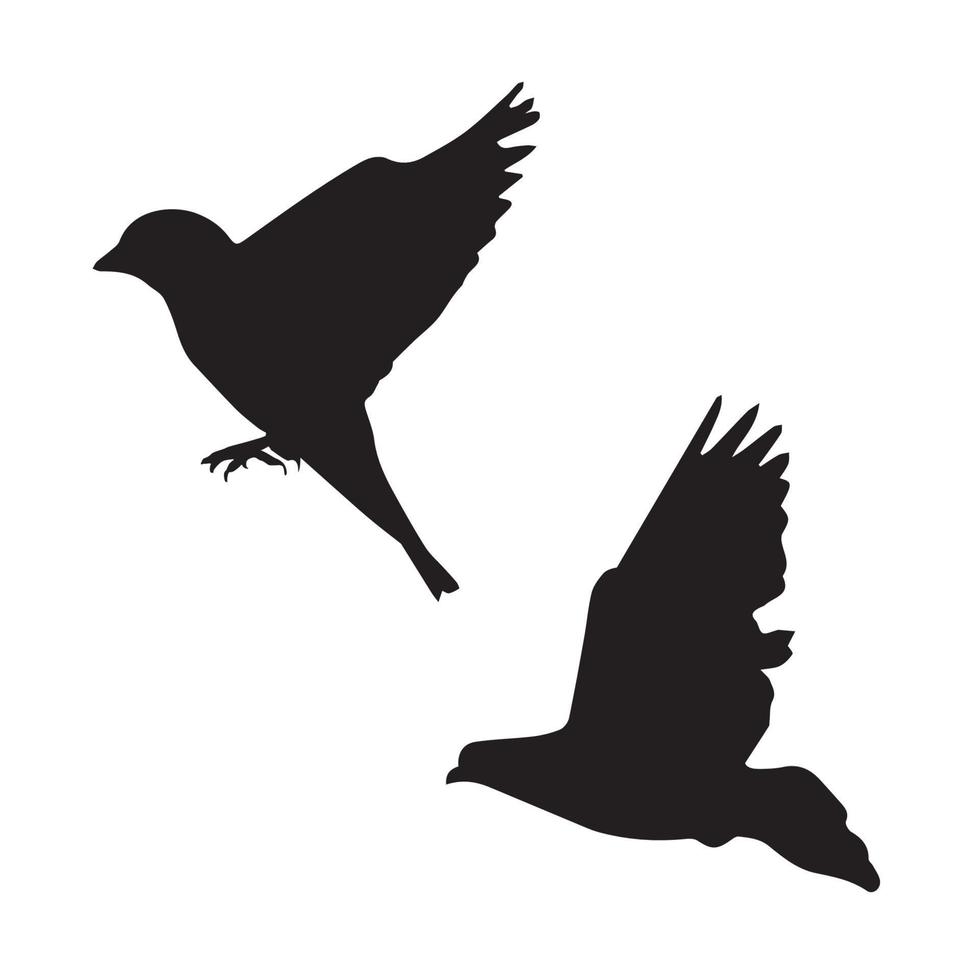 Pigeon Art Silhouette vector