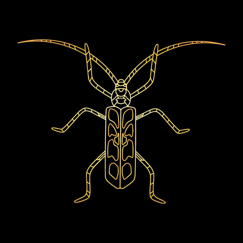 A golden beetle in a linear style. Linear vector illustration