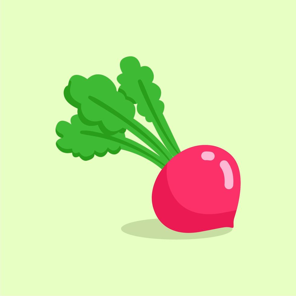 Illustration vector graphic of Radish