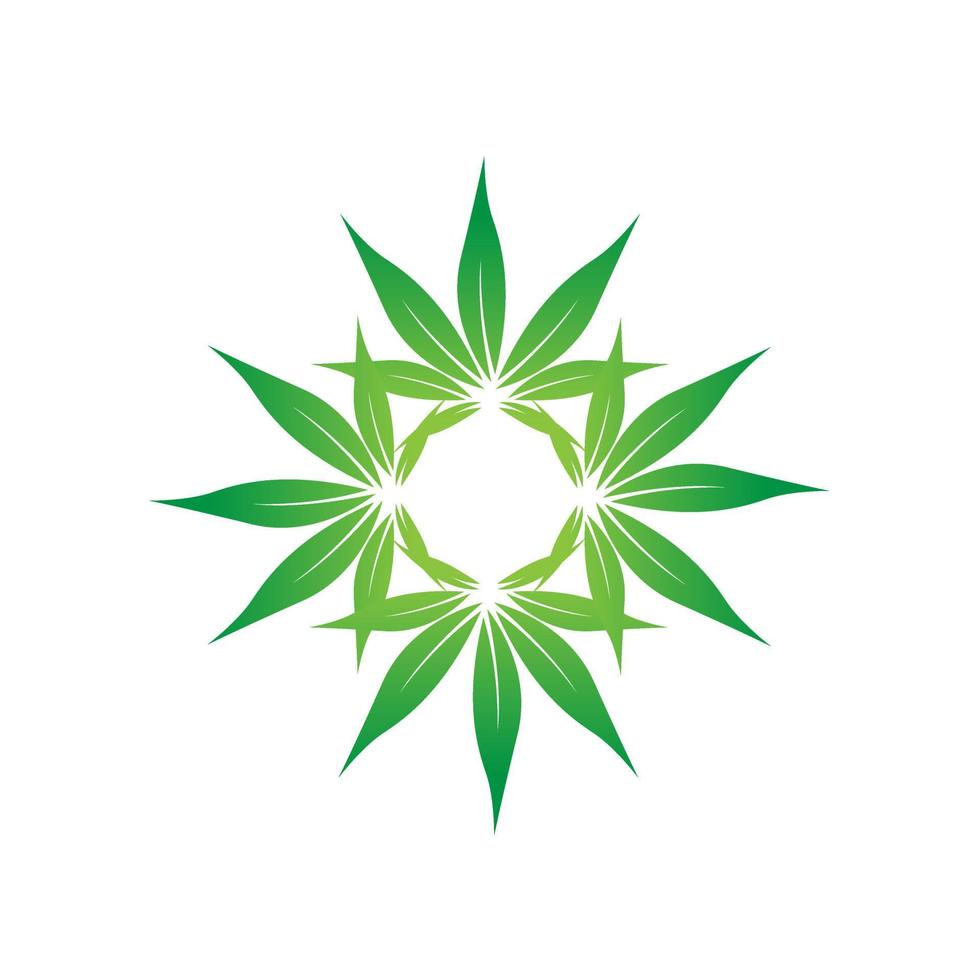 Star of green leaves isolated icon design, Green herb leaves circle on white bg, a vector leaf used in logo fashion or products trade make illustration template.