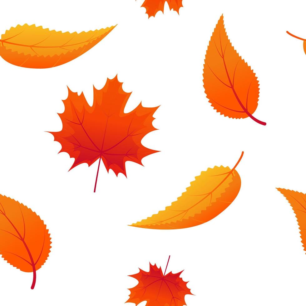 Seamless pattern with bright autumn leaves on white background. Autumn palette vector