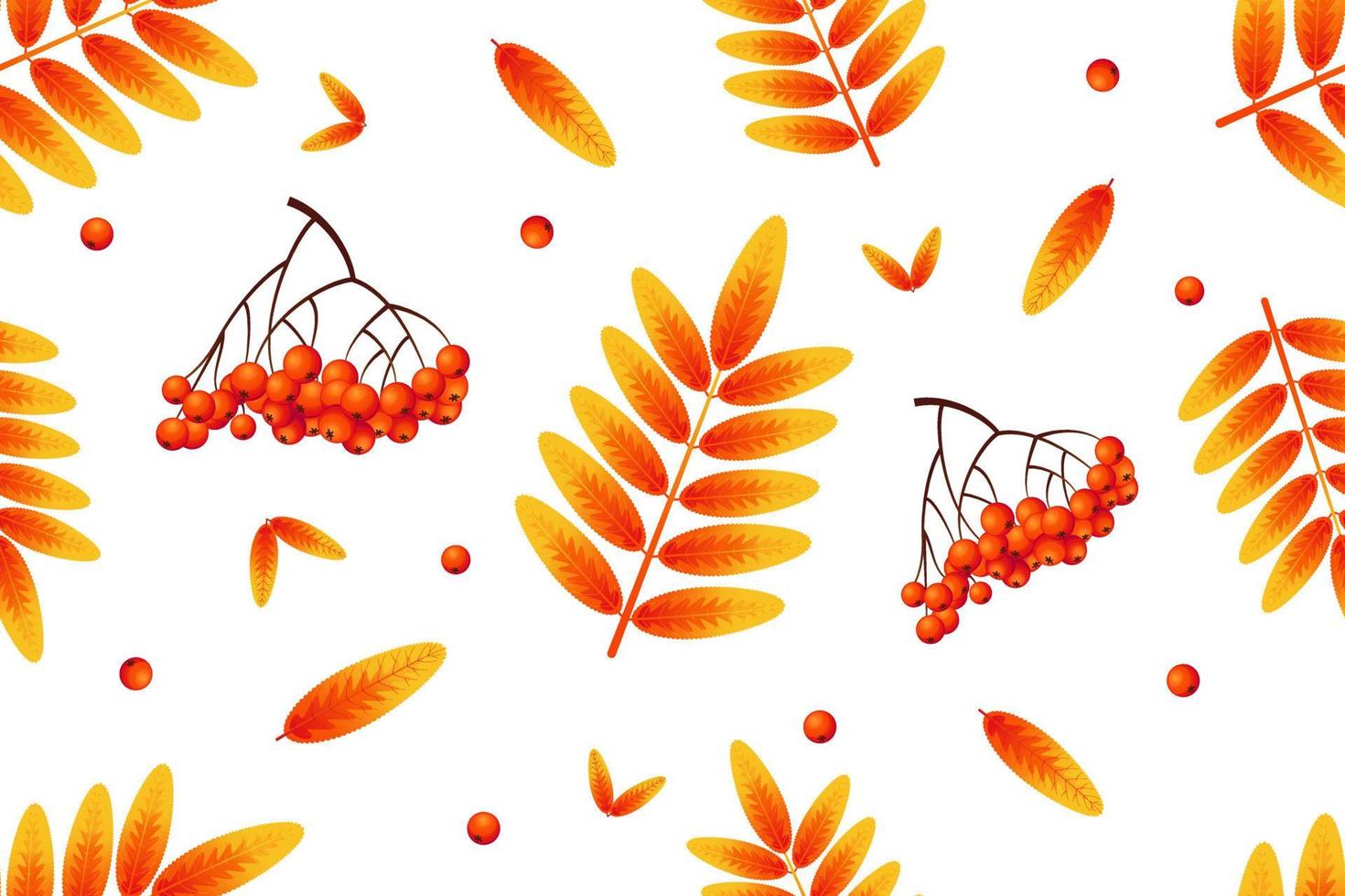 Autumn seamless pattern, orange leaves and bright rowan berries on white background. Ashberry. Perfect for wallpaper, gift paper, template fill, web page, autumn greeting cards vector