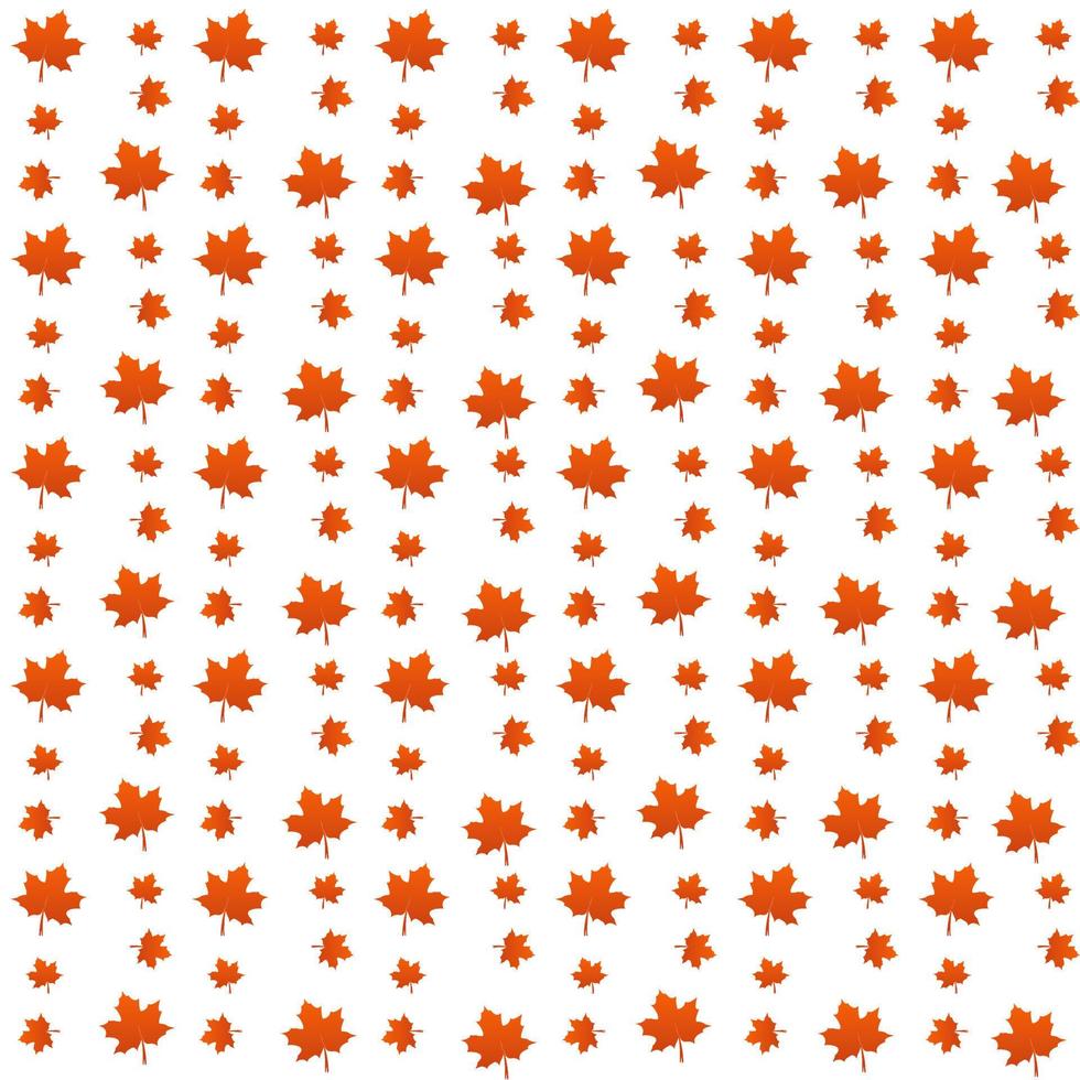 pattern of Red maple leaves on white background. texture design in autumn leaf of maple concept as a seasonal themed concept used in icon, logo of the fall weather vector