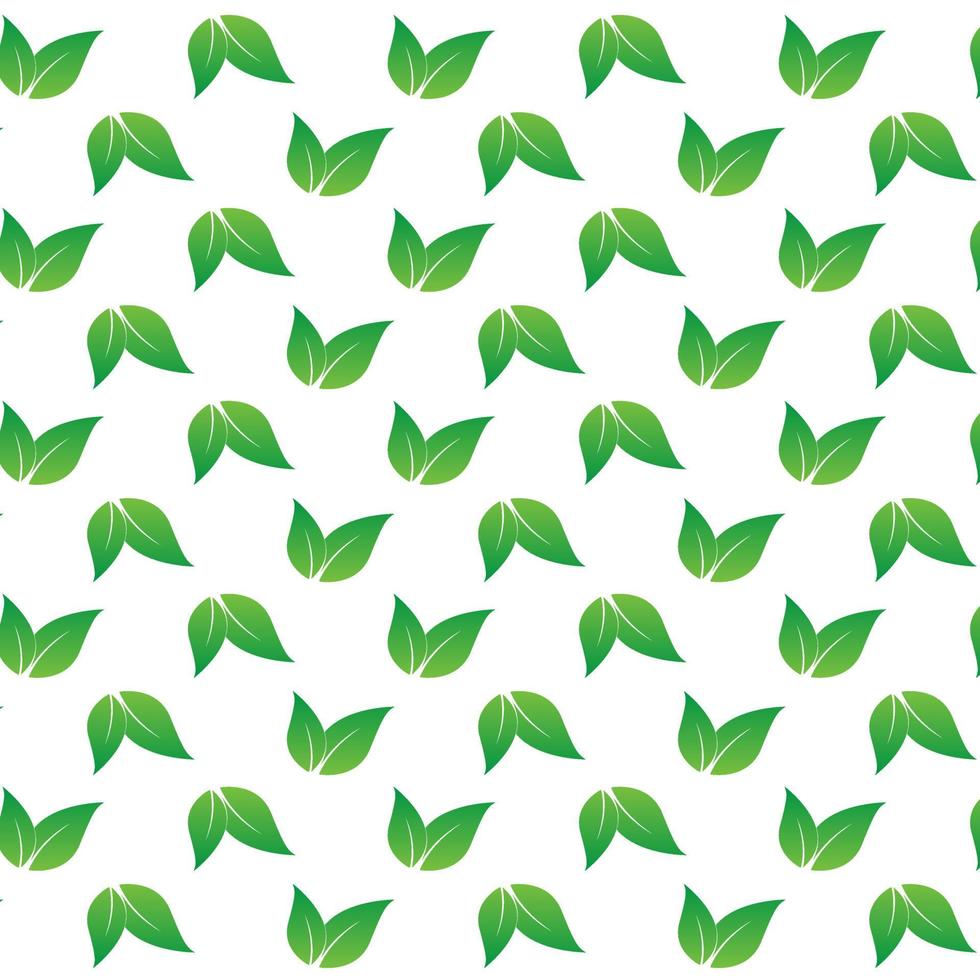 a green pattern of leaves spreading on white background vector