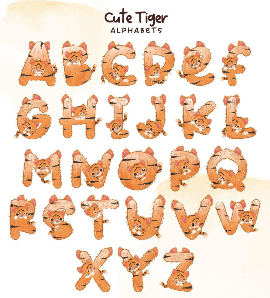 Letras decorativas de tigre bebé vector