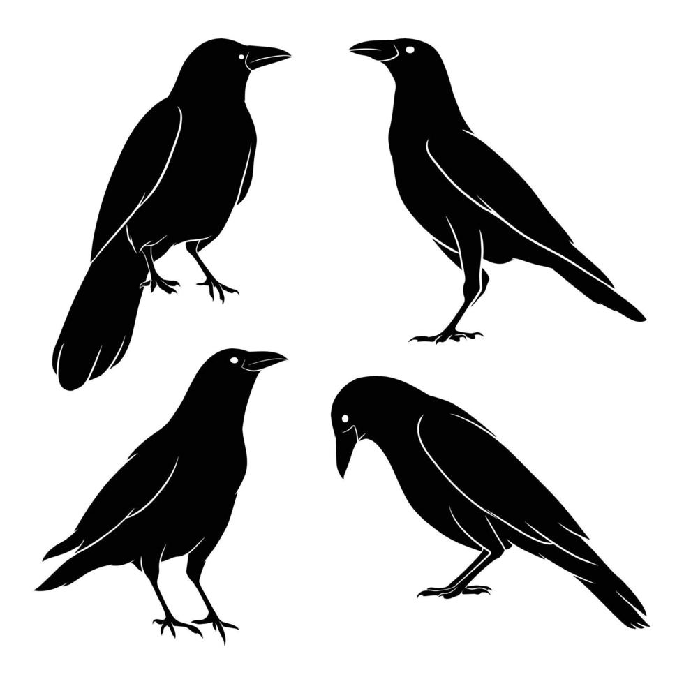 hand drawn silhouette of crow vector