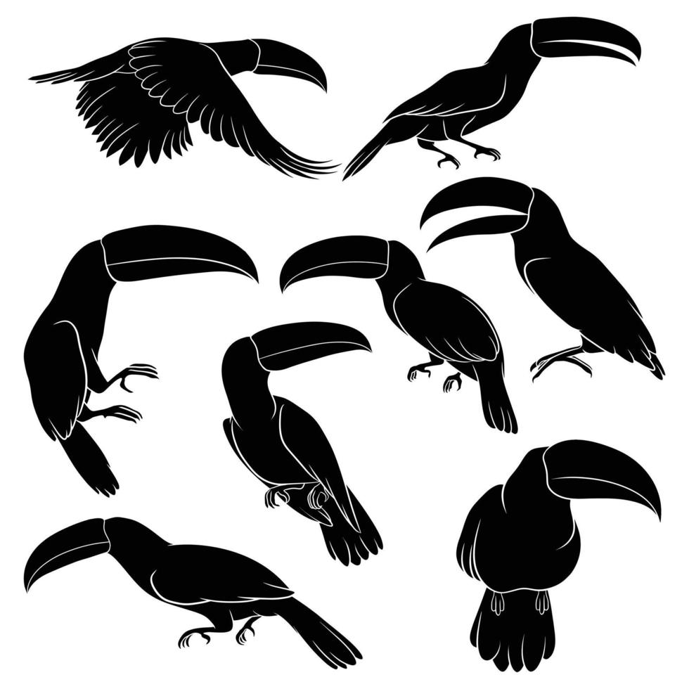 hand drawn silhouette of toucan vector