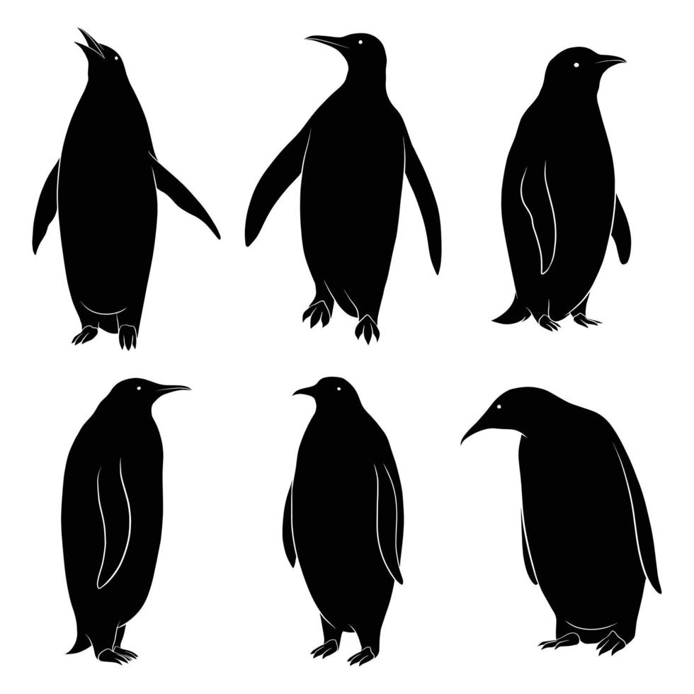 silueta dibujada a mano de pingüino vector