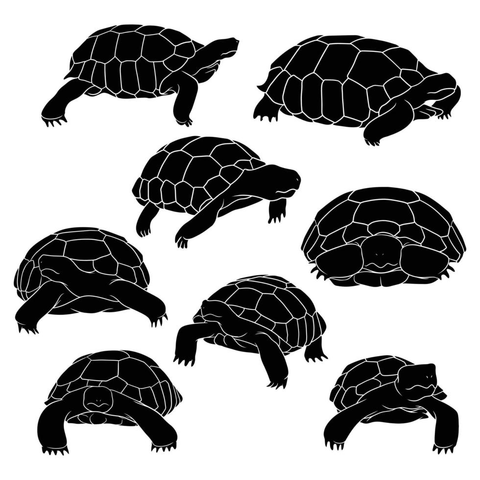 hand drawn silhouette of tortoise vector