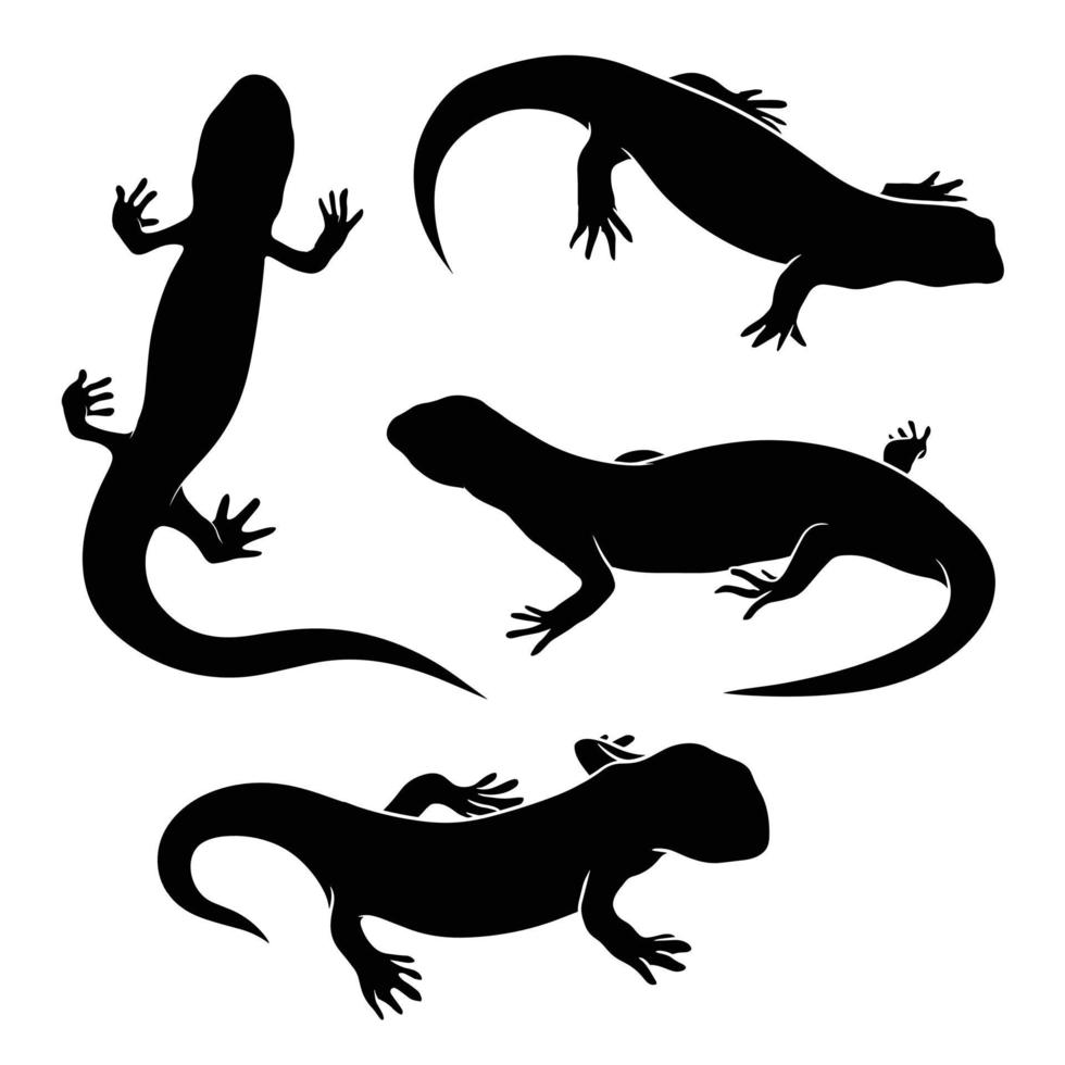 hand drawn silhouette of salamander vector