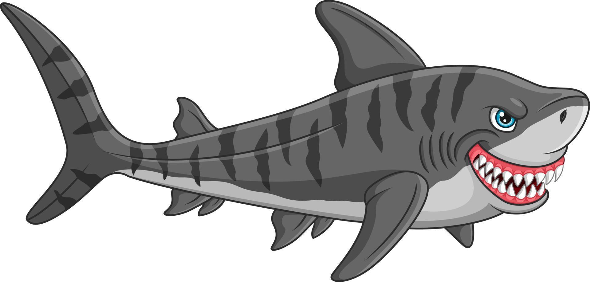tiburón tigre de dibujos animados sobre fondo blanco vector