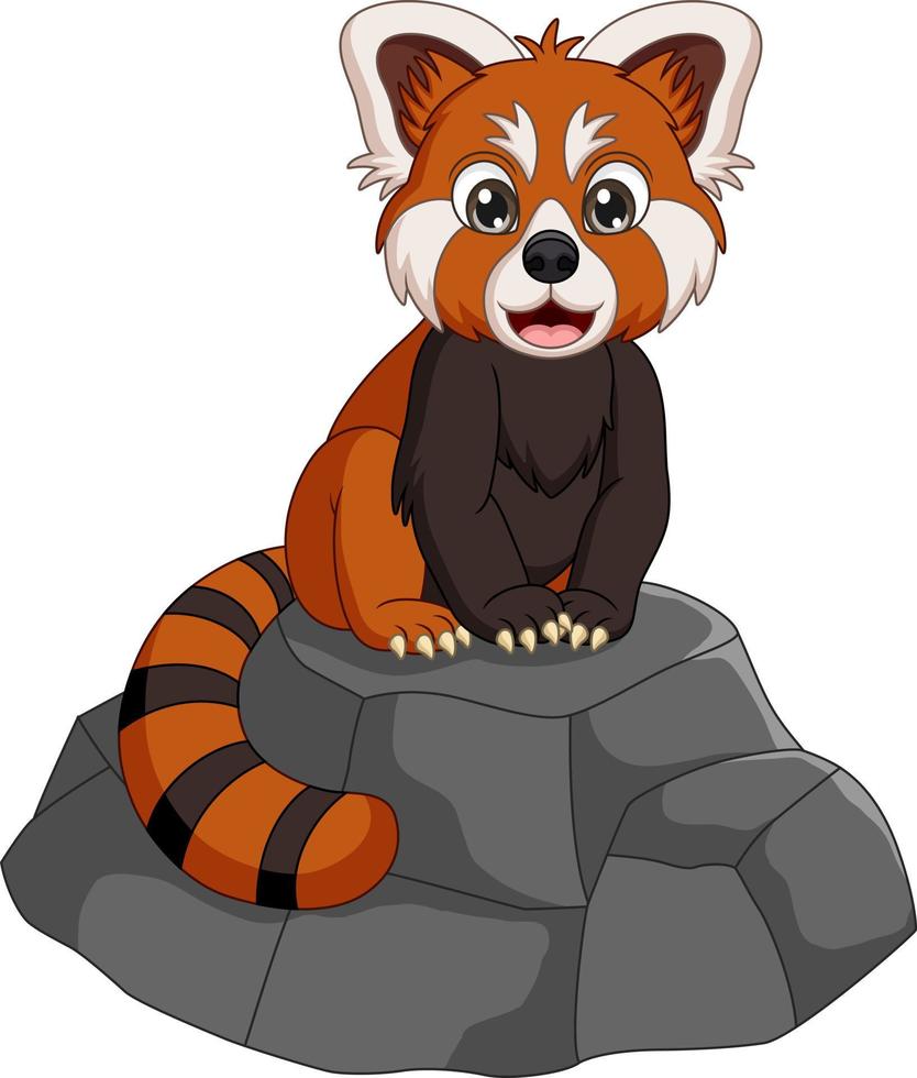 Cartoon funny red panda on the rock vector