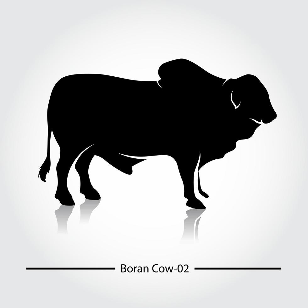 vaca boran con sombra negra y en blanco. esta silueta es adecuada para íconos, símbolos, negocios, imágenes de productos, restaurantes que sirven platos de carne, o también puede usarse para negocios de cría de vacas. vector
