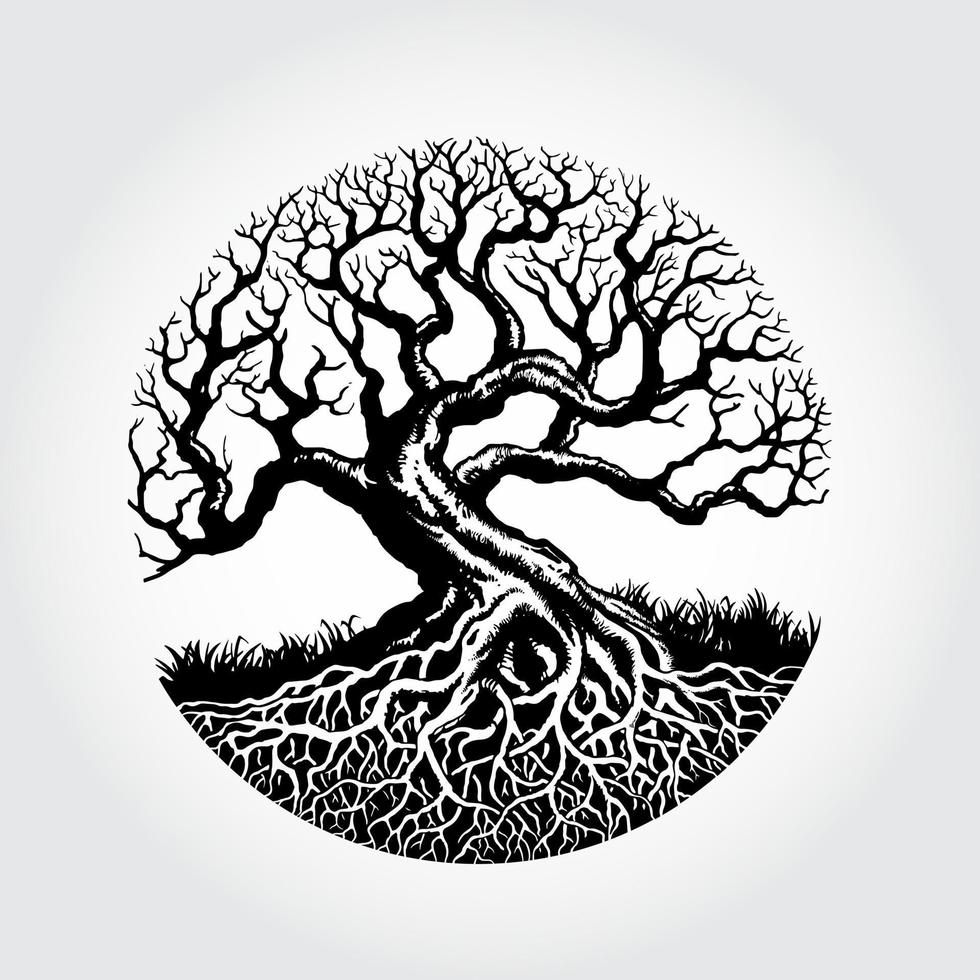 raíz de la ilustración de vector de árbol. ilustración de una hermosa planta.