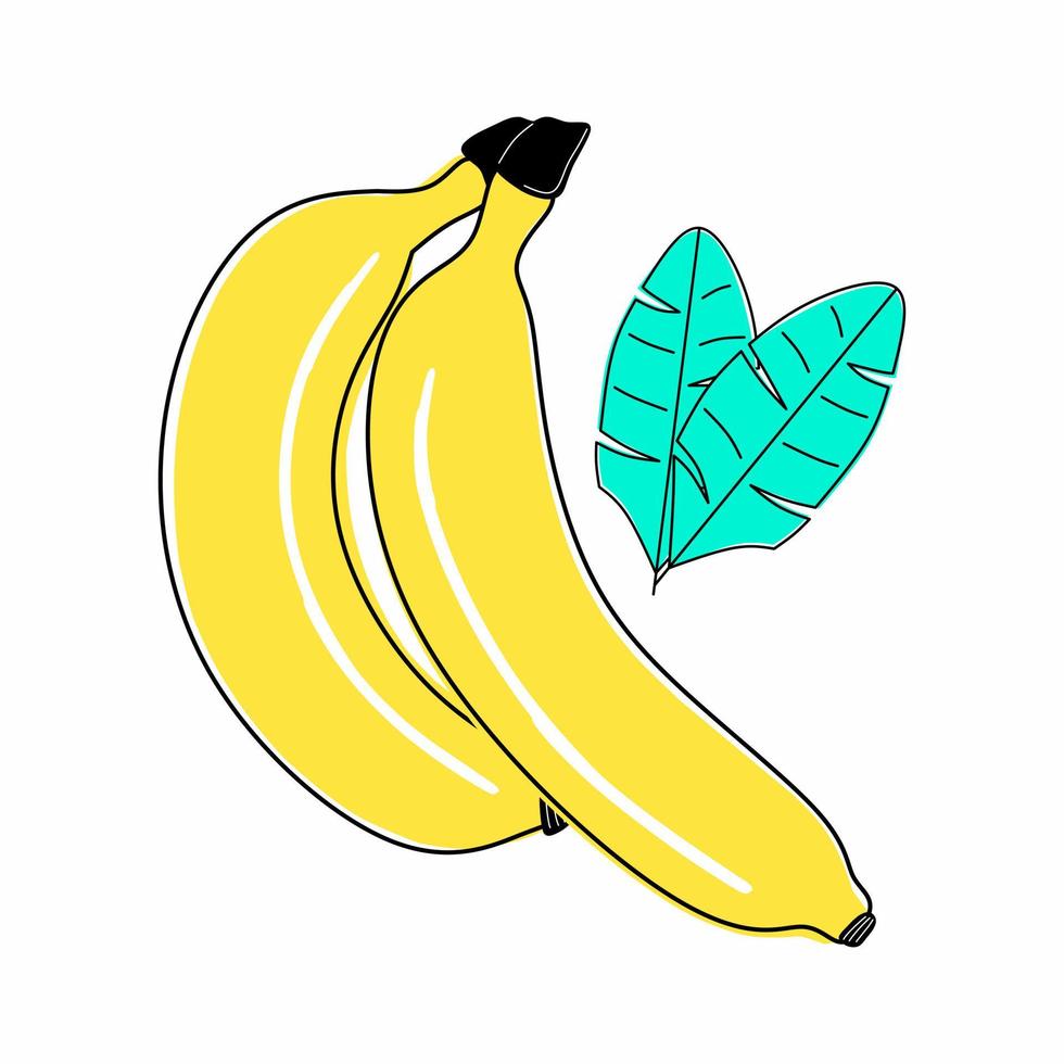 Two cartoon bananas with leaves vector