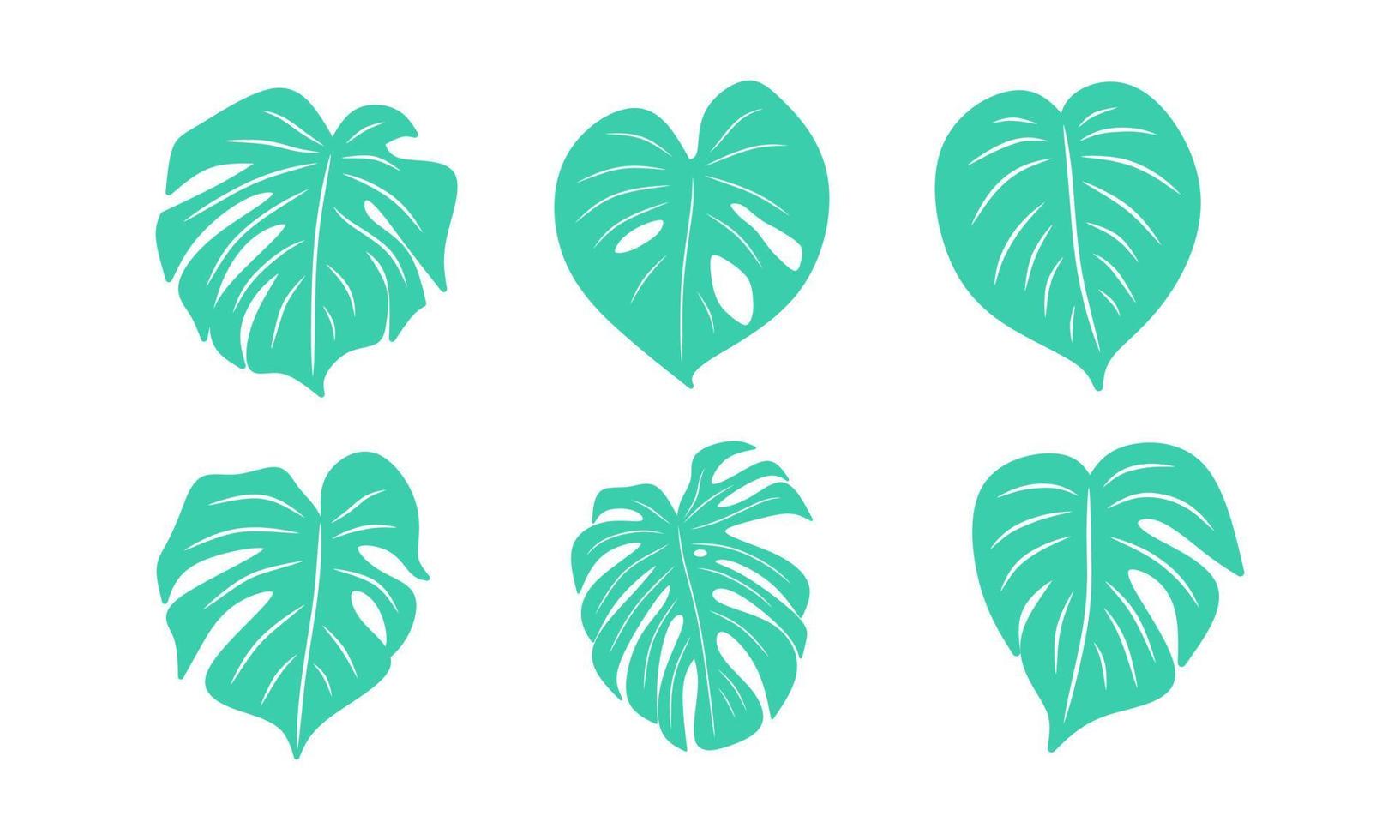 Set of isolated monstera leaves vector