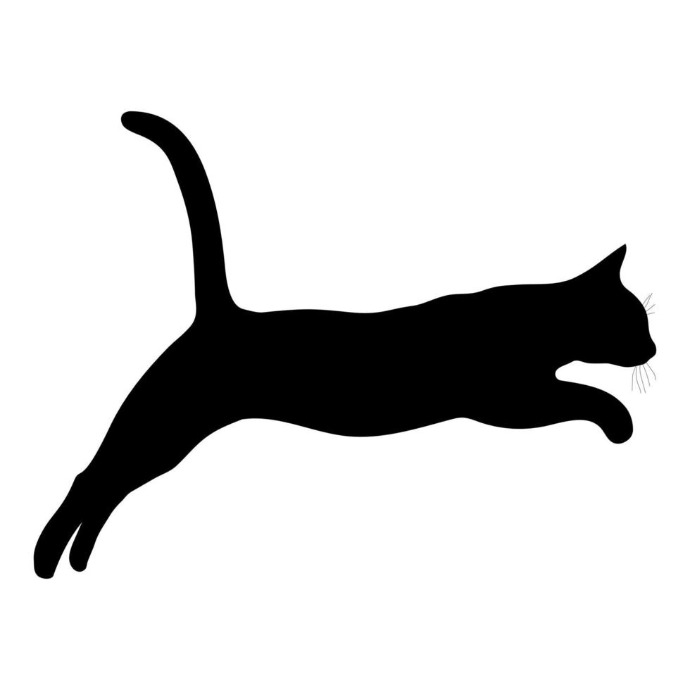 Black silhouette of a cat on a white background. vector