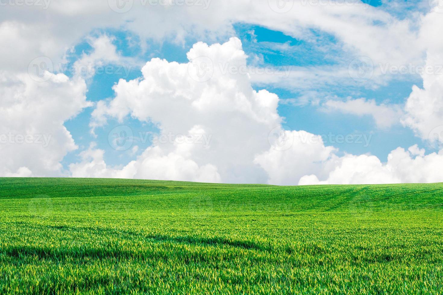 A large meadow in the background is the sky. nature background image concept photo