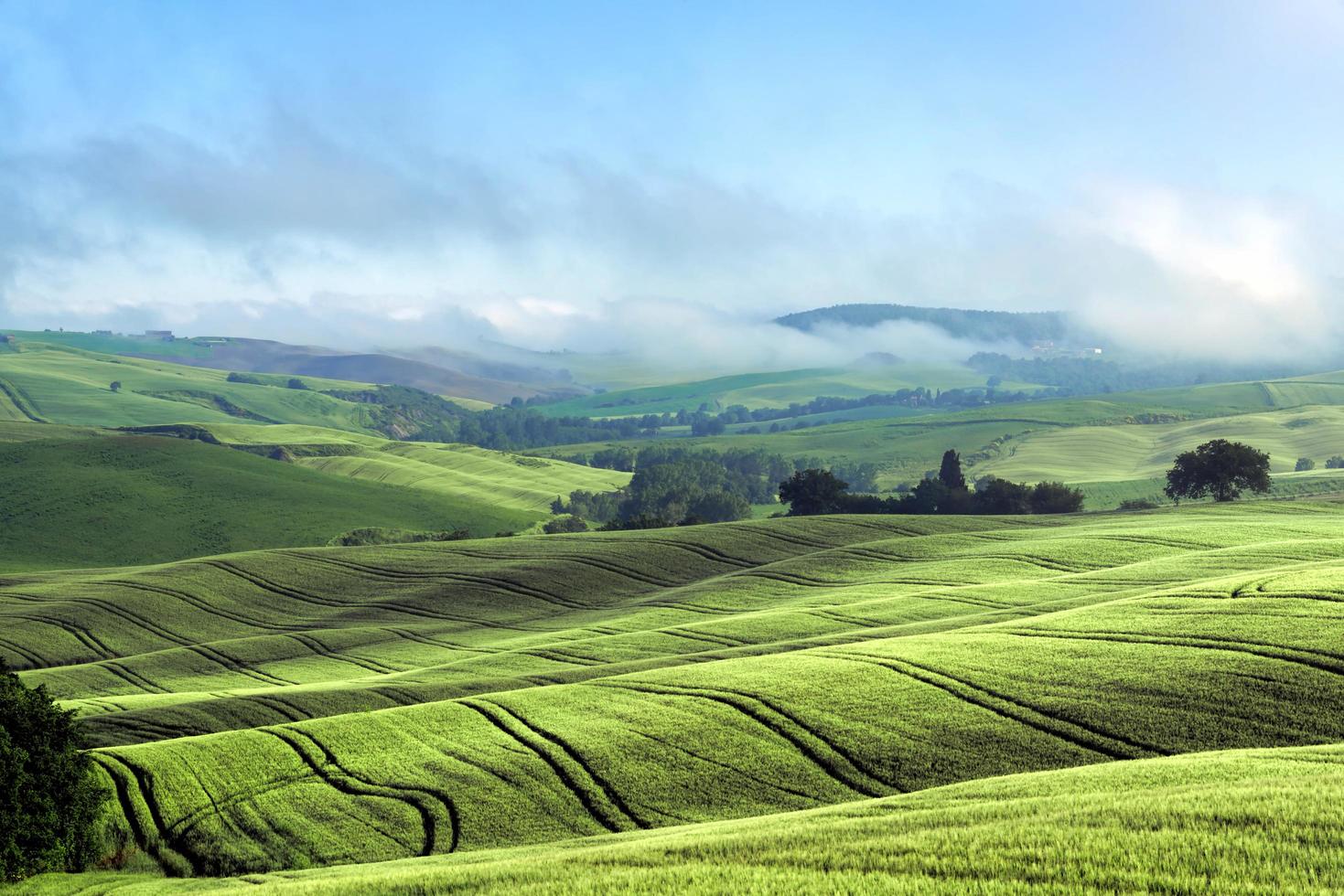 Rolling Hills of Val d'Orcia Tuscany photo