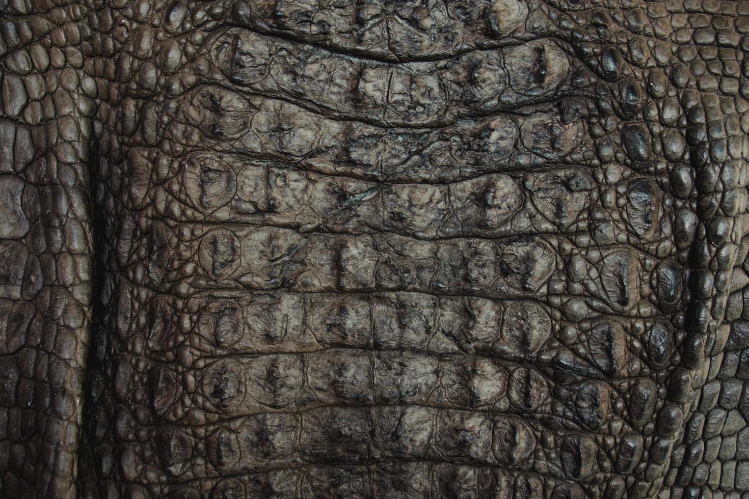 Fondo de primer plano de textura de cuero de cocodrilo foto