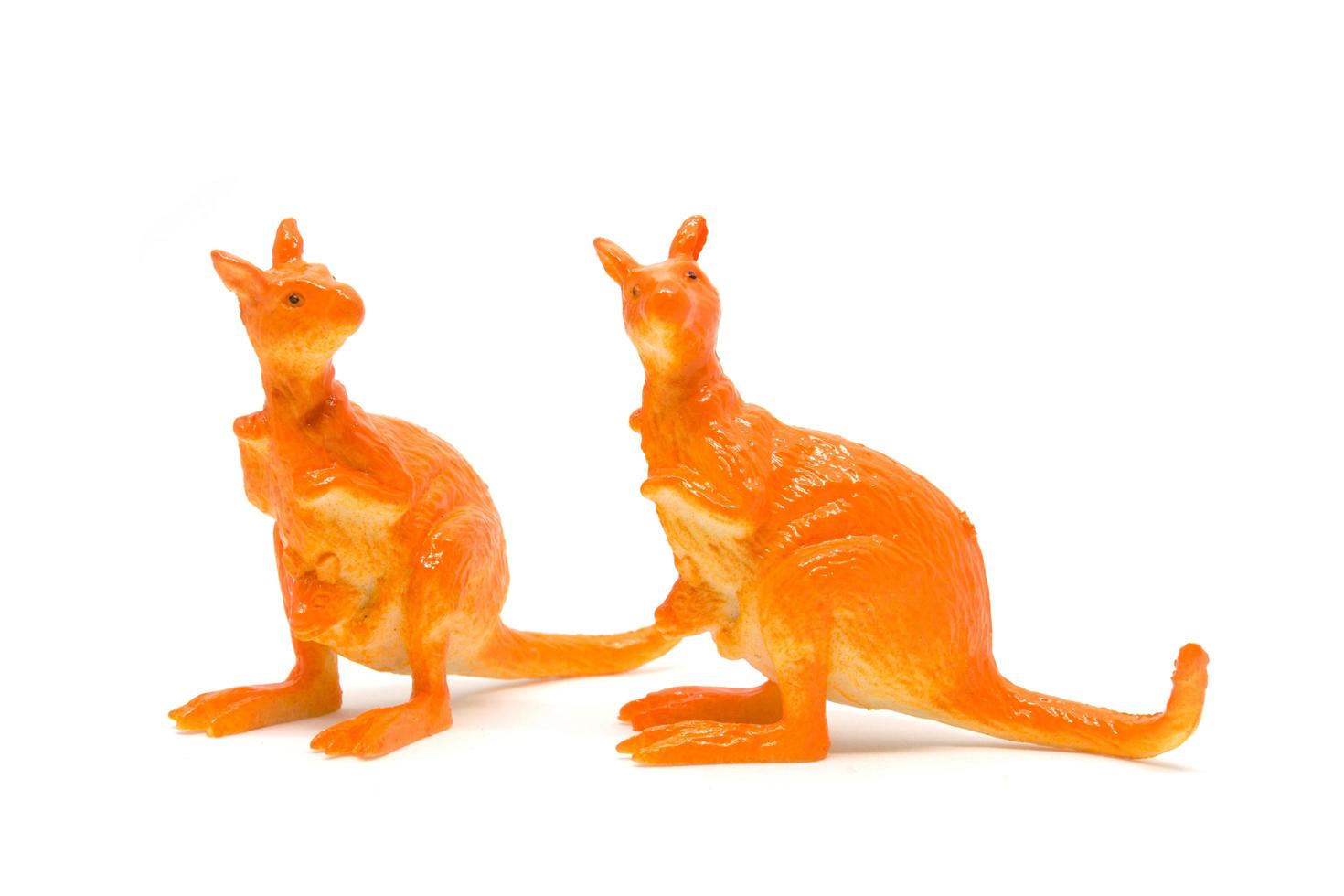 Kangaroo model isolated on white background, animal toys plastic photo