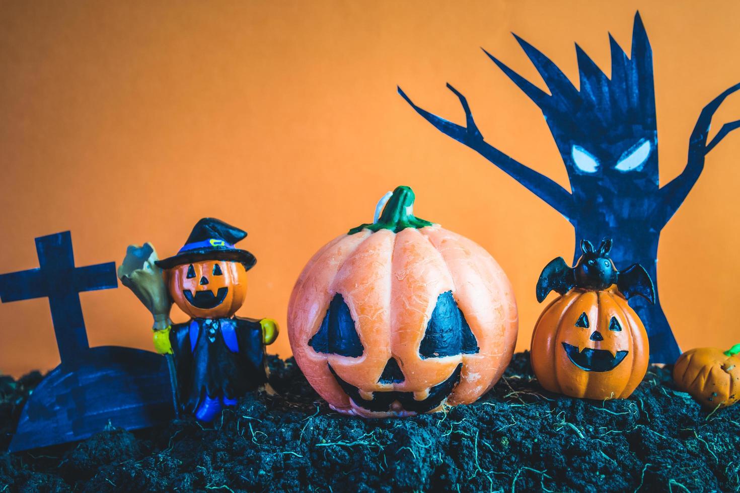 Halloween Pumpkins on soil photo