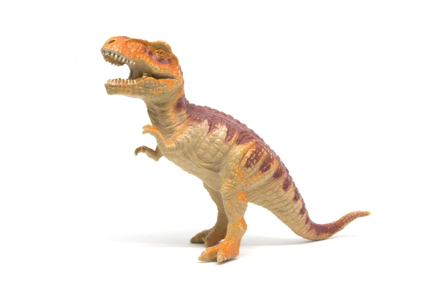 Plastic Tyrannosaurus toy isolated on white background photo