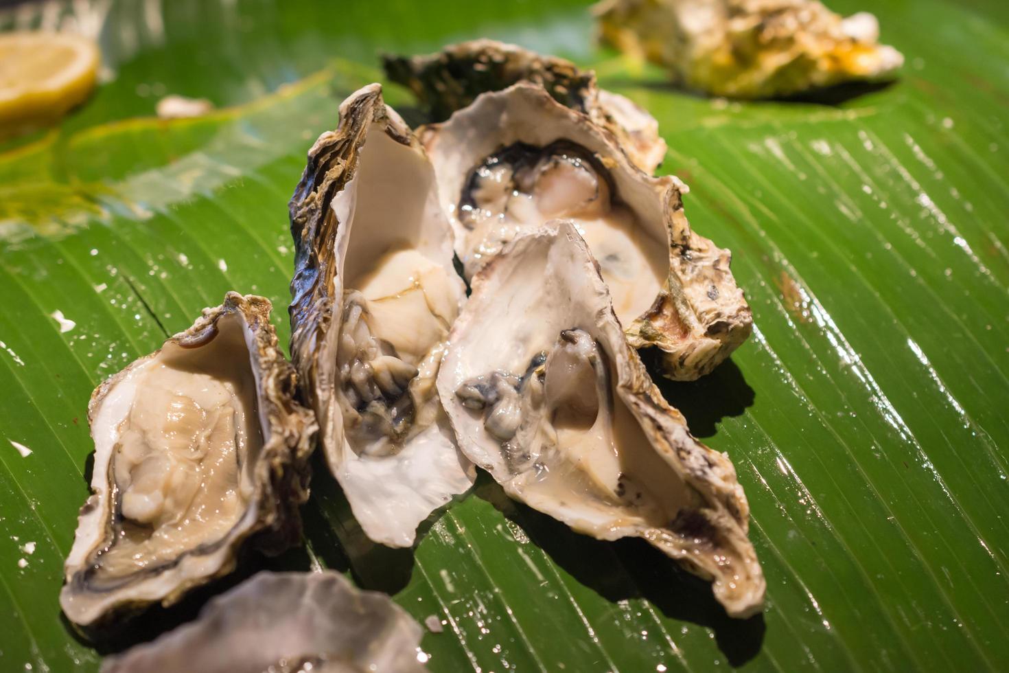 Fresh oyster with lemon. closeup photo