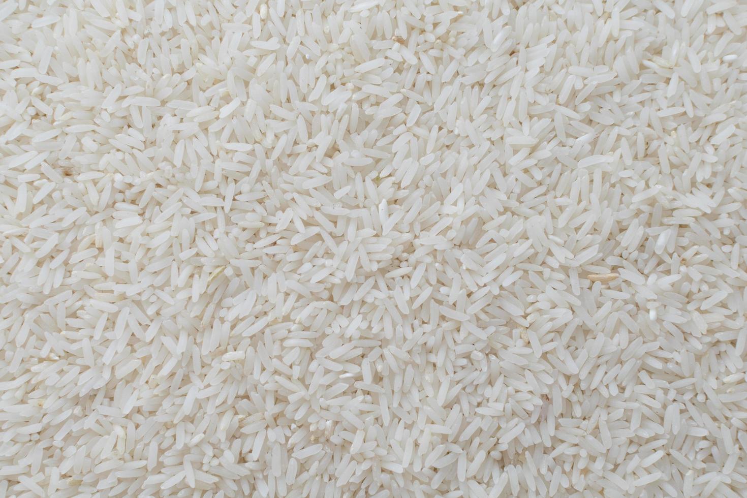 arroz jazmín. alimento foto