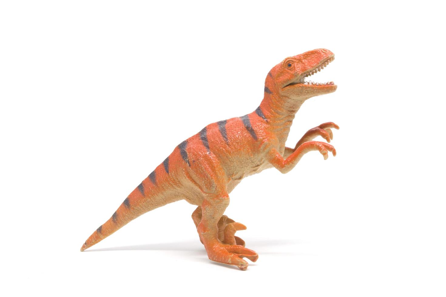 Plastic velociraptor toy isolated on white background photo