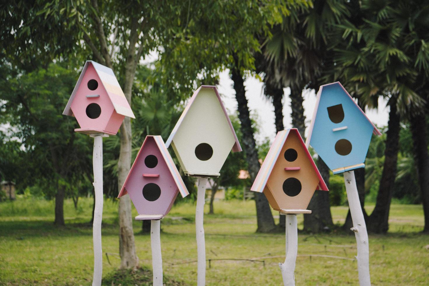 colorful bird house. photo