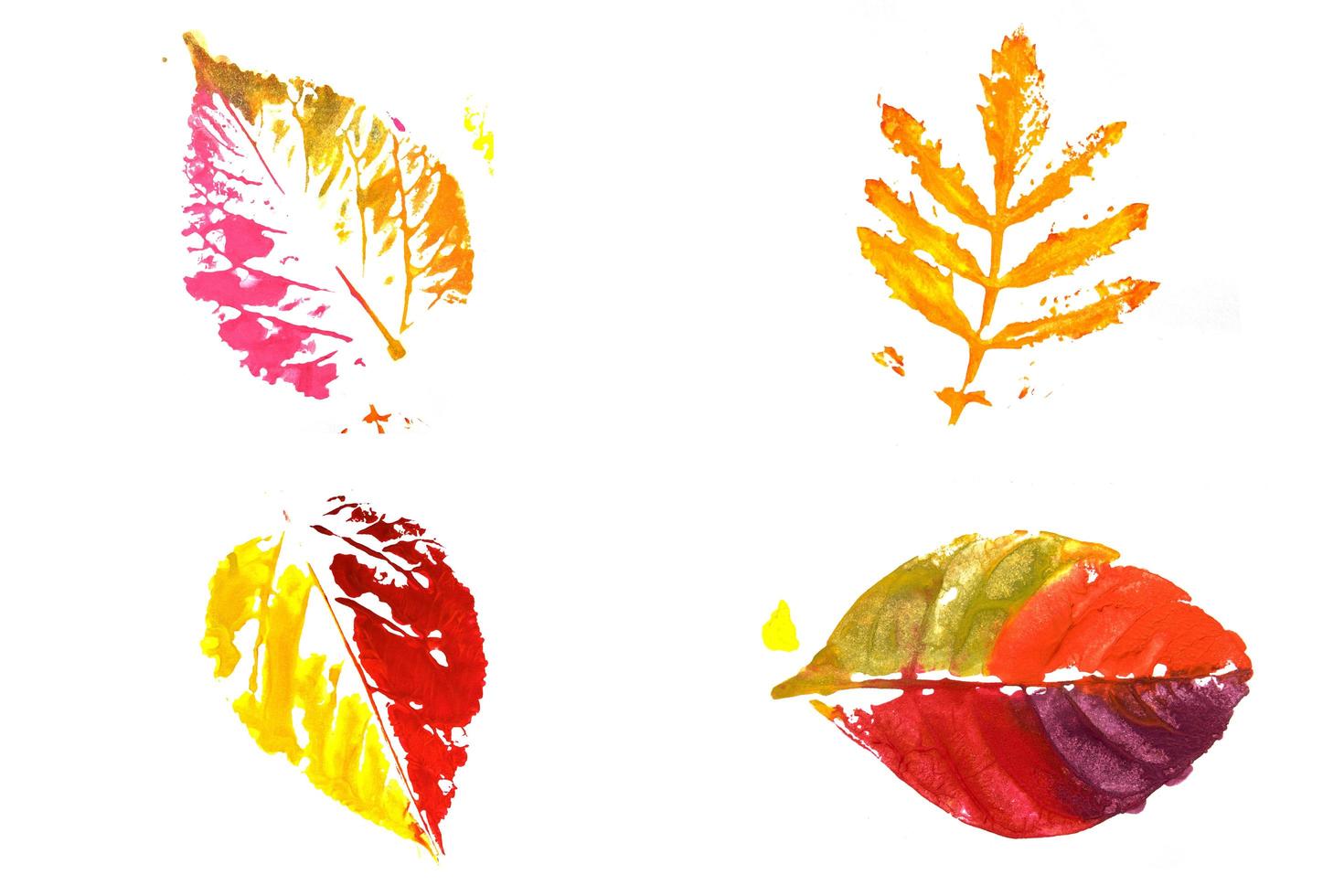 Colorful print of leaf isolated on white background photo