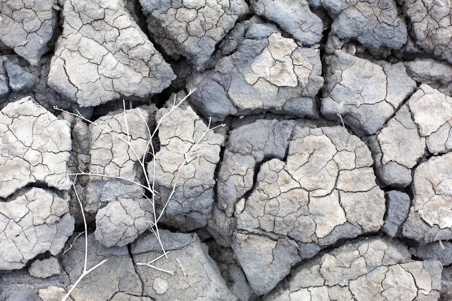 The texture of gray cracked earth, dried volcanic clay with cracks. Ultimate Gray. Natural background, copyspace photo