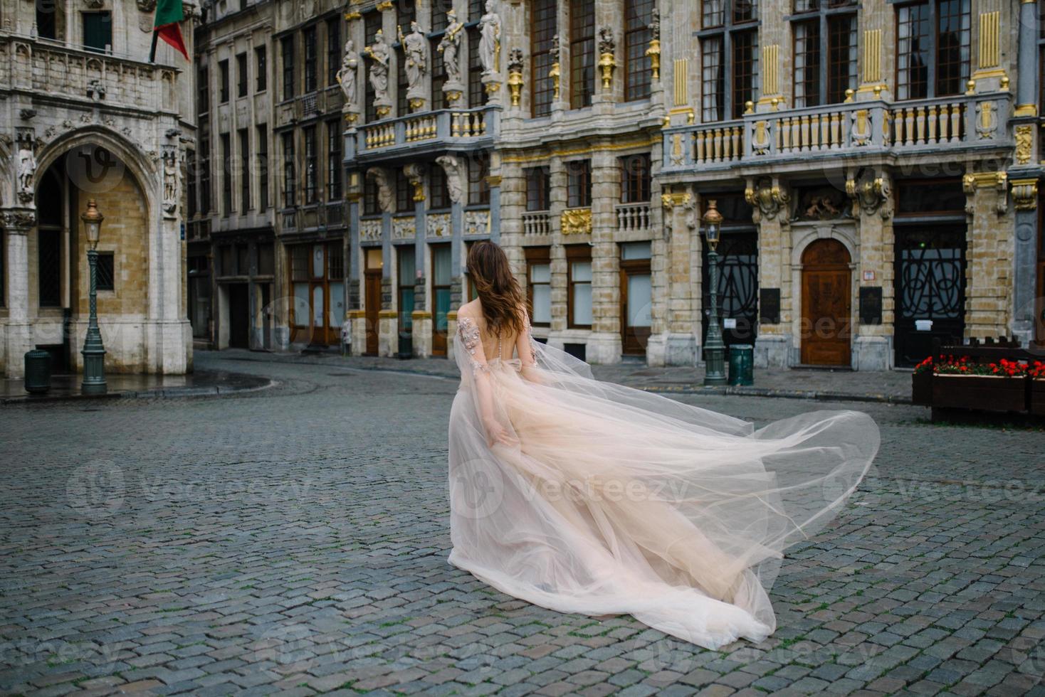 Portrait of a lovely young girl in a lush dress walking around the park and the Grand Palace photo