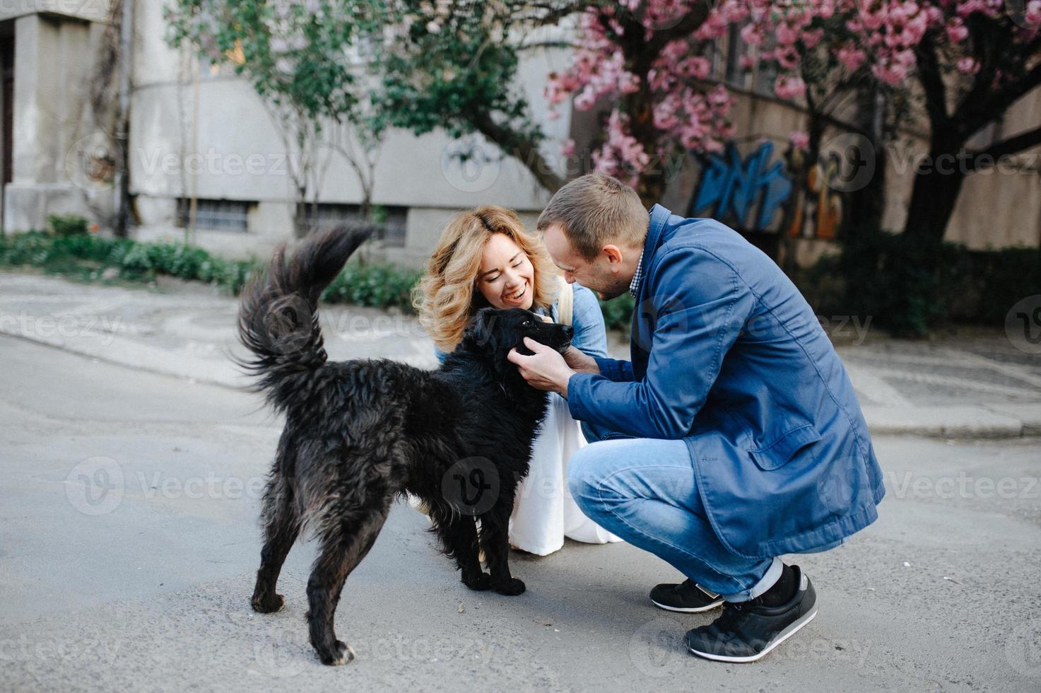 Young Love Couple Hugging their Dog in the Spring Park with Blooming Cherry Tree photo