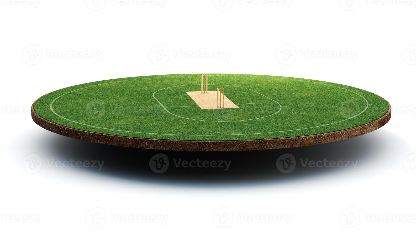 Cricket Stadium Front view on cricket pitch or ball sport game field