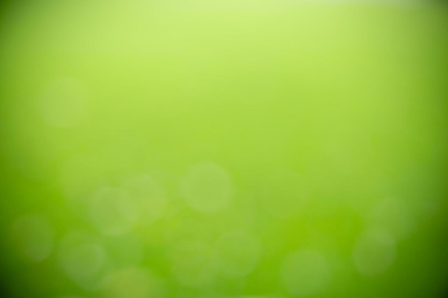 Abstract blurred out of focus and blurred green leaf background under sunlight with bokeh and copy space using as background natural plants landscape, ecology wallpaper concept. photo