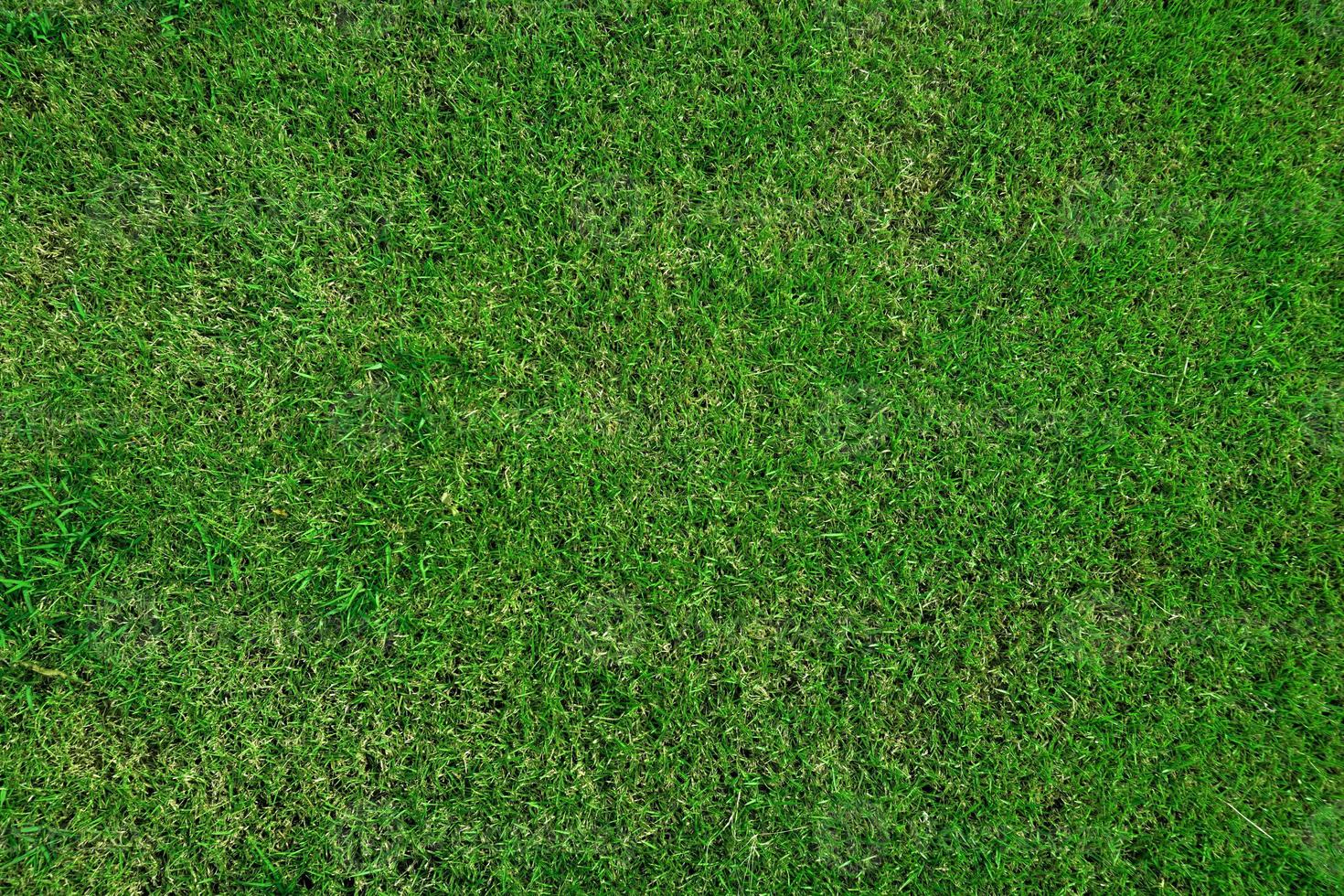 Top view of the area covered with green grass field for sports course such as golf, soccer or football, lawn carpet texture background. photo