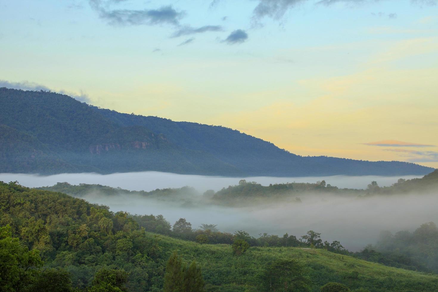 flujo de niebla a través del valle de la montaña del parque nacional khao yai a la luz de la mañana durante la temporada de lluvias, tailandia foto