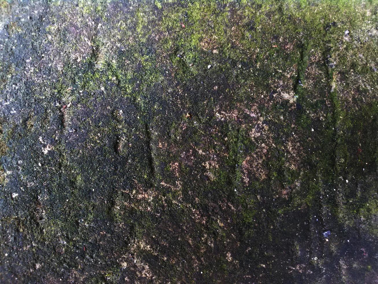 mossy wall background. Abstract Grunge Decorative. Rough Art Style Texture Banner photo