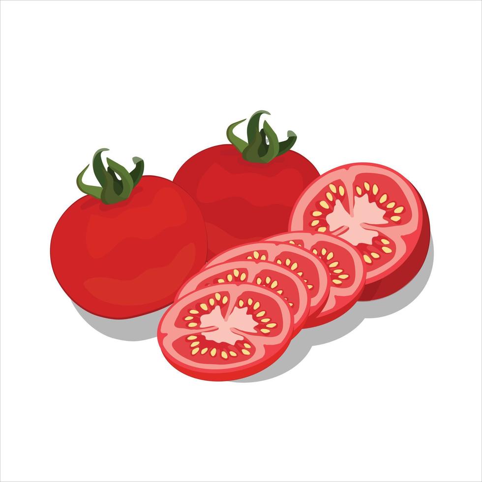 Red tomato vector illustration.