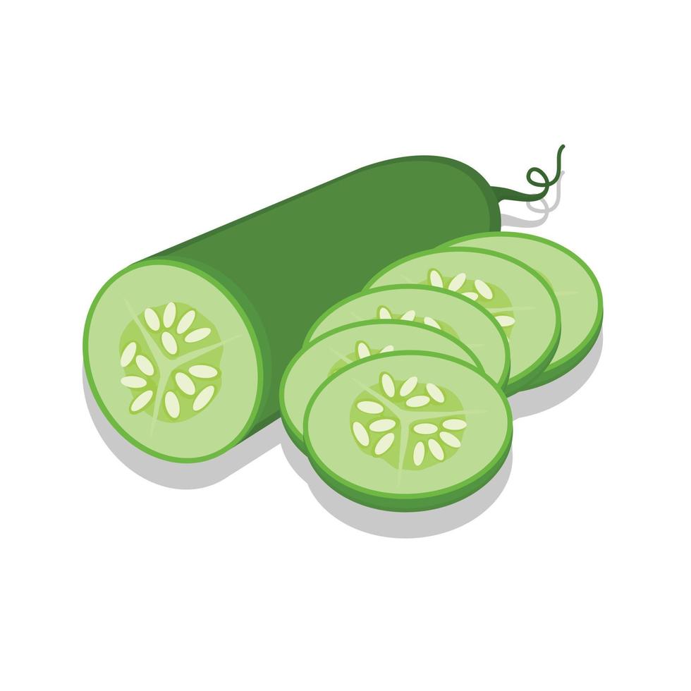 Green cucumber vector illustration.