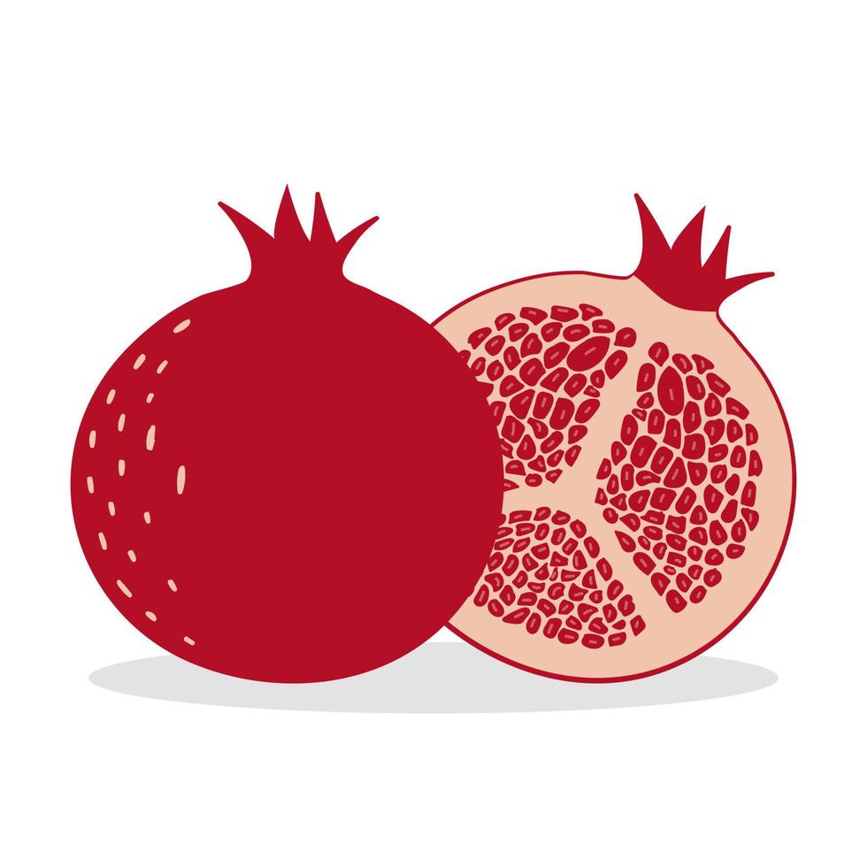 Ripe pomegranate and half a pomegranate. Isolated on white background. vector