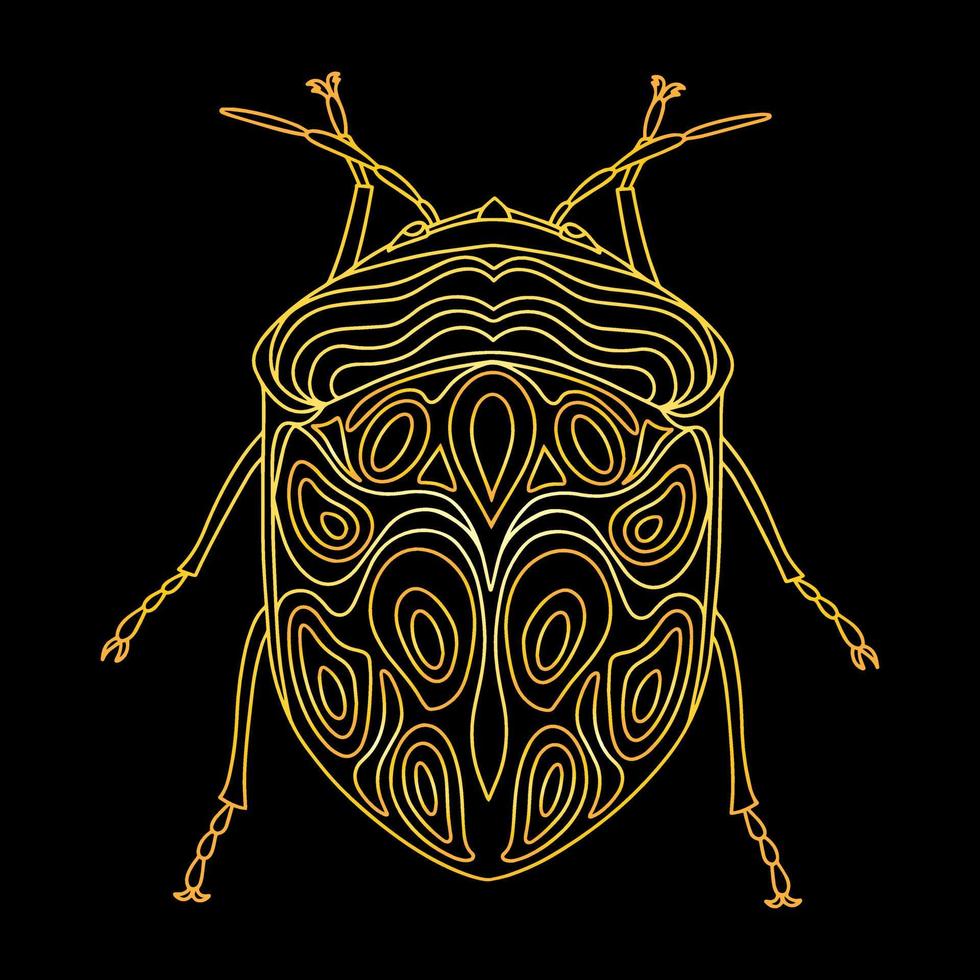 A golden beetle in a linear style. Linear vector illustration