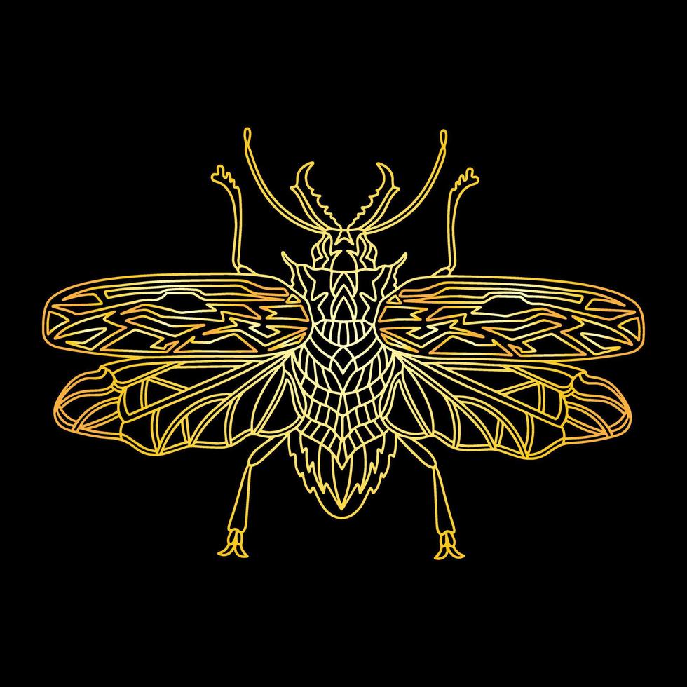 A golden beetle in a linear style. Linear vector illustration