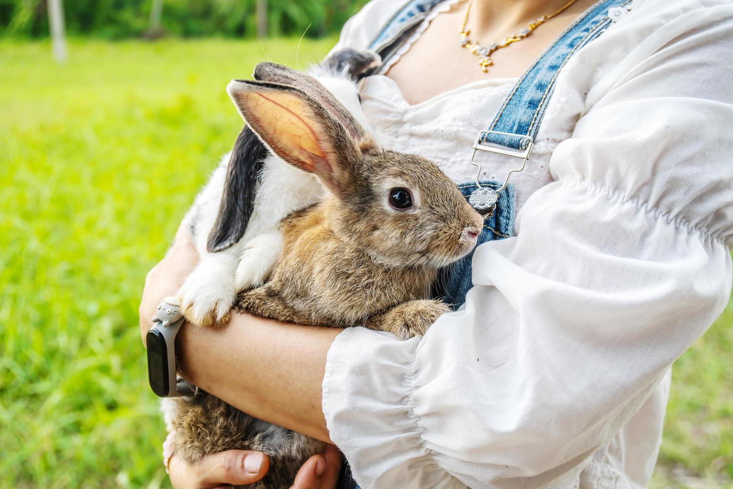 vista cercana de la chica con el conejo. sosteniendo lindo conejo peludo. amistad con el conejito de pascua. foto